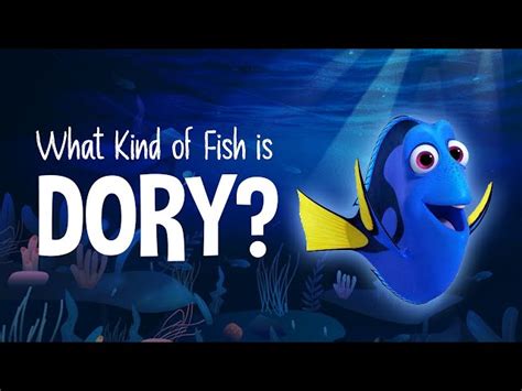 what type of fish is dory|1994 Kevin Smith film about this type of employee.